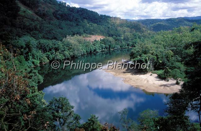 australie queensland 14.JPG - RivièreDaintree National ParkQueenslandAustralie